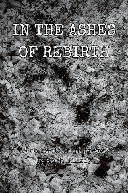 In The Ashes of Rebirth cover